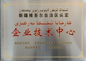 新疆维吾尔自治区认定企业技术中心